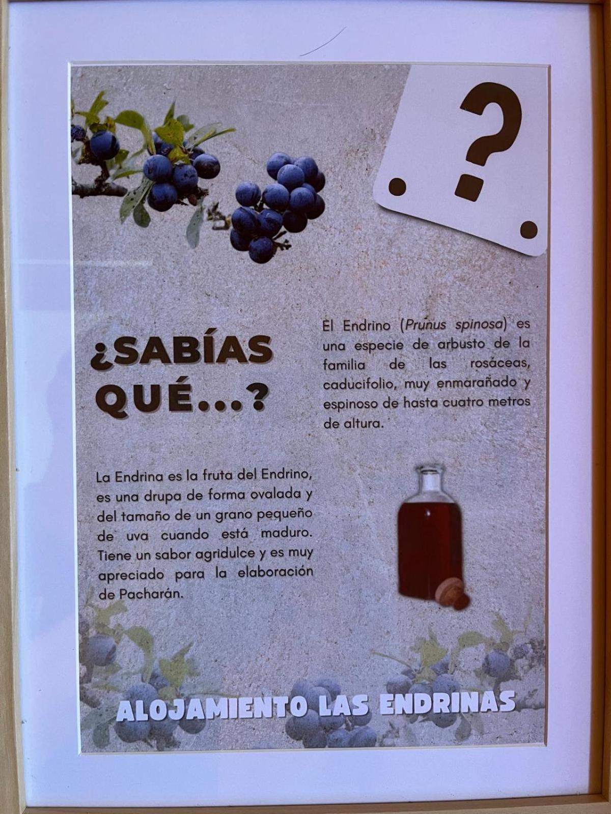 Apartment Endrinas